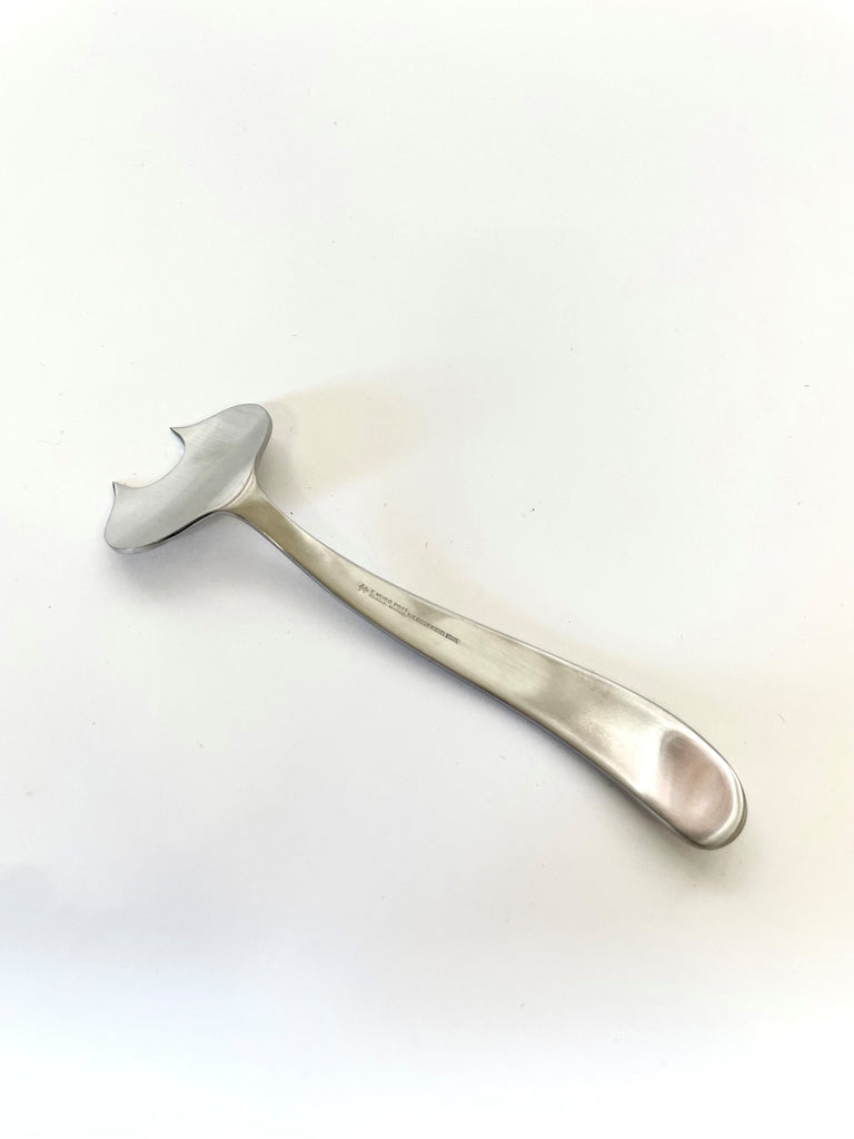 Manita Cheese fork des. Hugo Pott