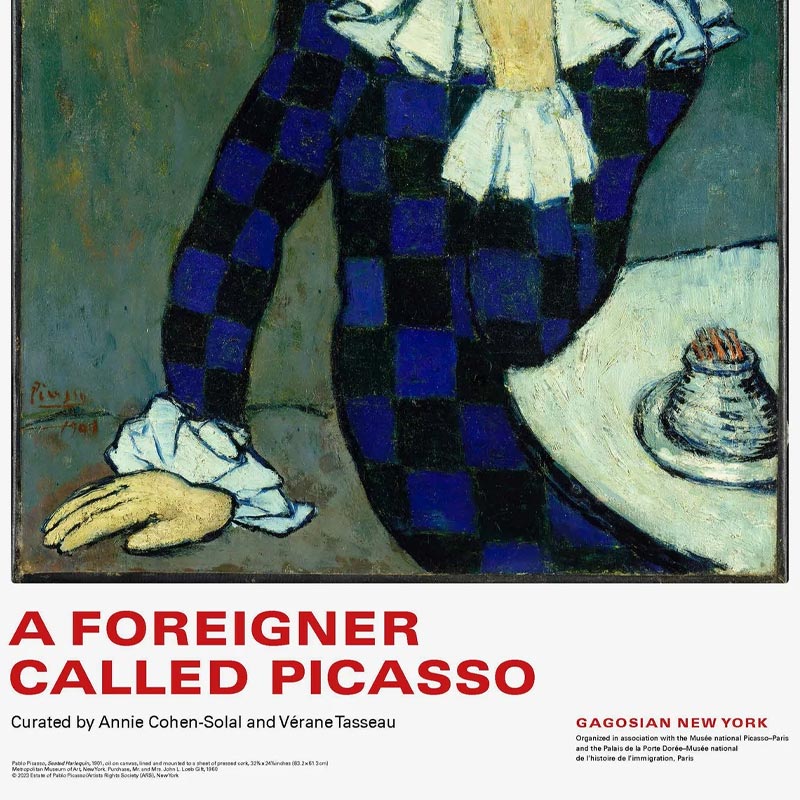 A Foreigner Called Picasso (Seated Harlequin) poster by Pablo Picasso