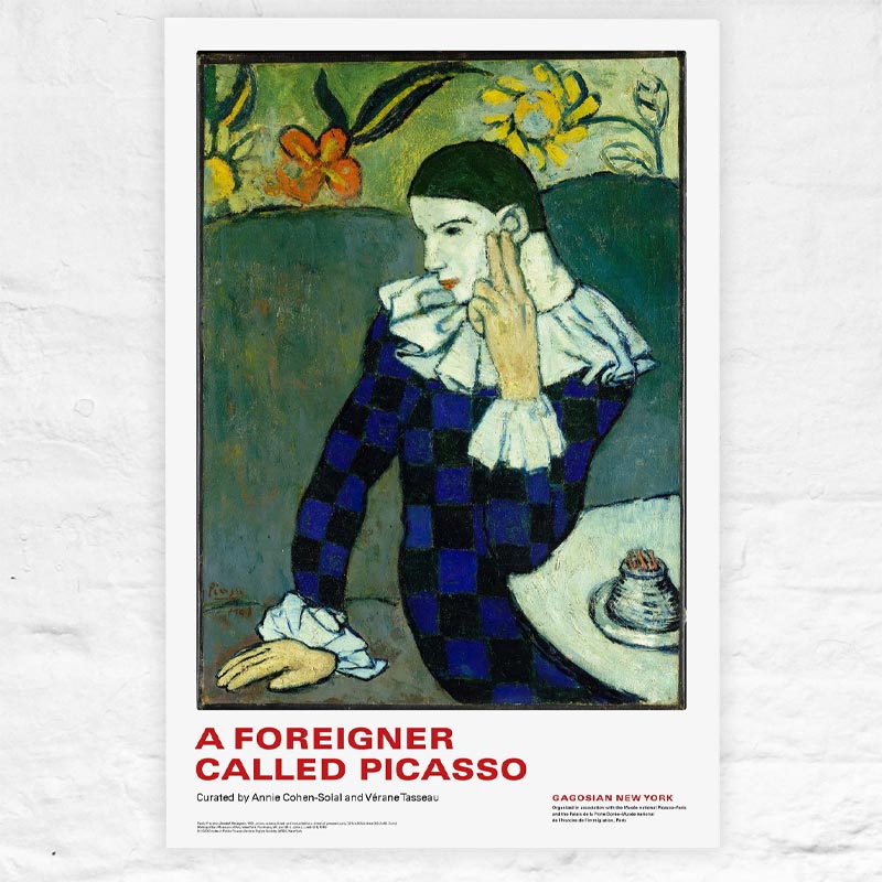A Foreigner Called Picasso (Seated Harlequin) poster by Pablo Picasso