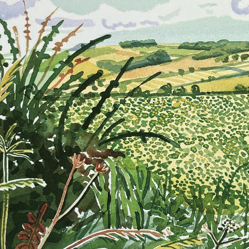 A Gap in the Hedgerow (from Midsummer: East Yorkshire) by David Hockney