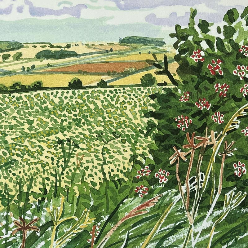 A Gap in the Hedgerow (from Midsummer: East Yorkshire) by David Hockney