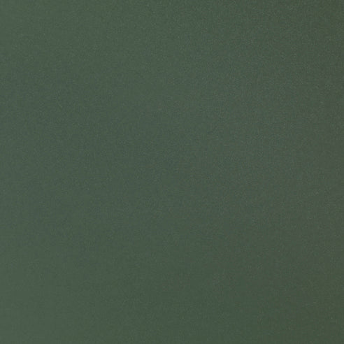 Hee Dining Chair - sled base, standard glider, fall green powder coated steel - des. Hee Welling for HAY