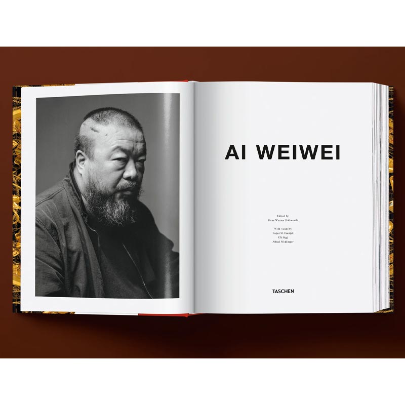 Ai Weiwei - Updated Edition