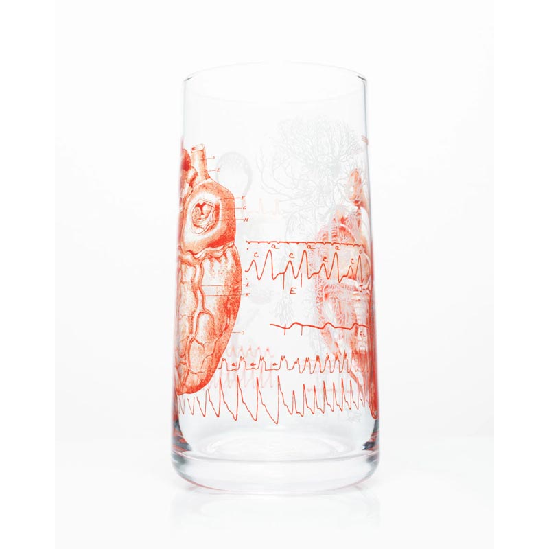 Anatomical Heart Tumbler Drinking Glass by Cognitive Surplus