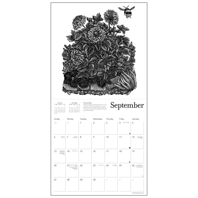 Andy English 2026 Wall Calendar