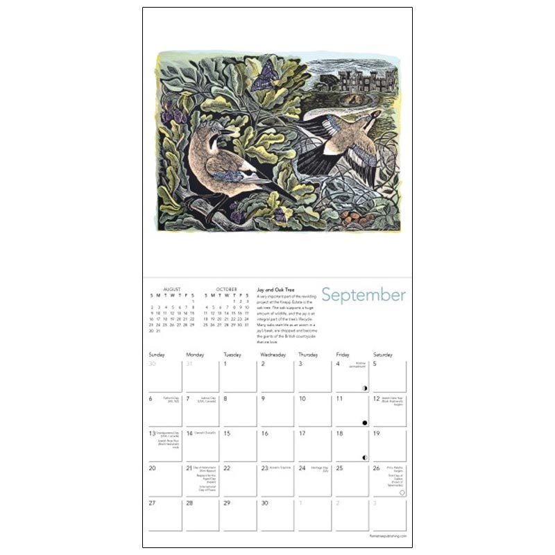 Angela Harding 2026 Mini Wall Calendar