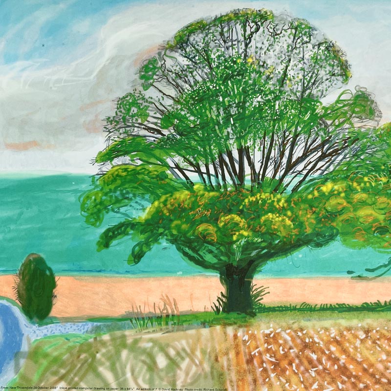Autumn Trees Near Thixendale by David Hockney