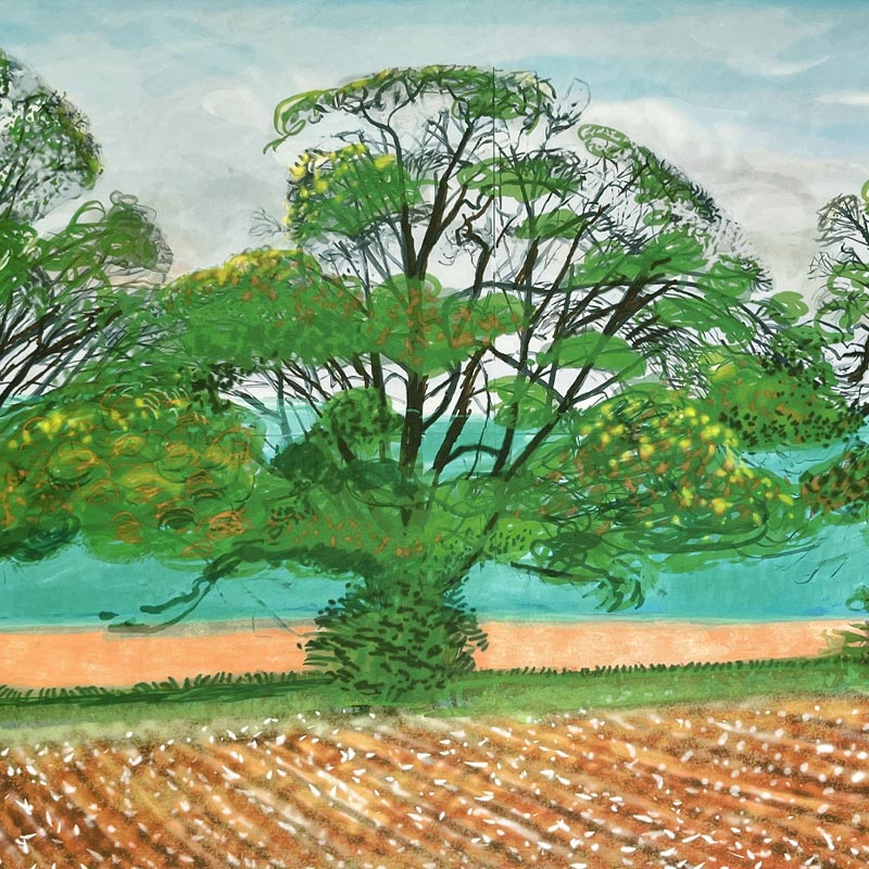 Autumn Trees Near Thixendale by David Hockney