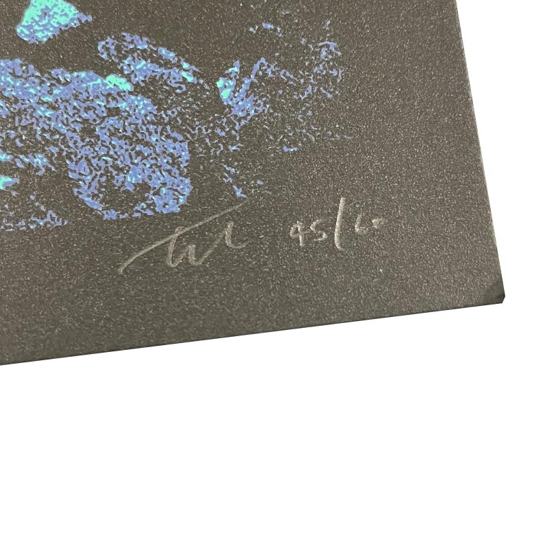 Beth Gibbons poster by Tommy Davidson-Hawley