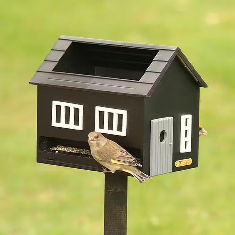Black House Bird Feeder & Bird Bath by Wildlife Garden