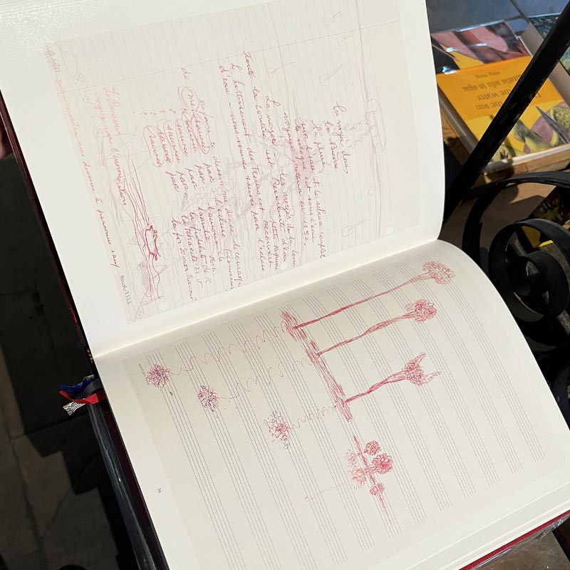 The Insomnia Drawings by Louise Bourgeois - limited special edition