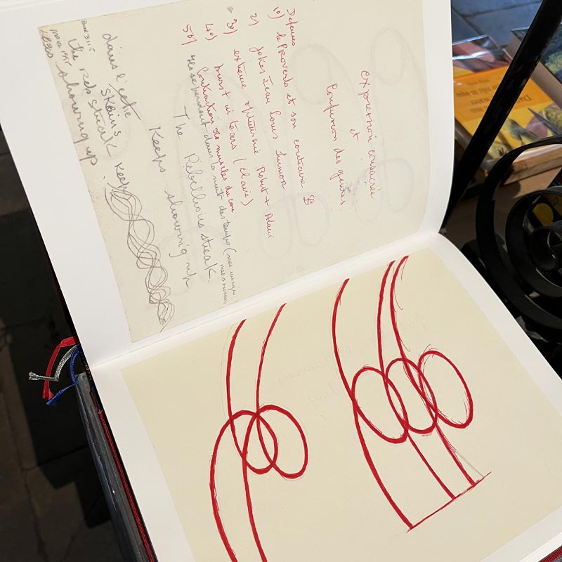 The Insomnia Drawings by Louise Bourgeois - limited special edition