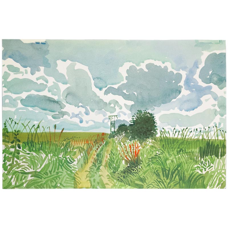 Cart Track and Pylon (from Midsummer: East Yorkshire) by David Hockney