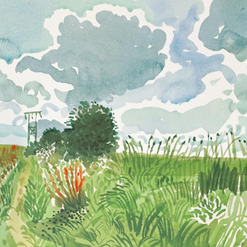 Cart Track and Pylon (from Midsummer: East Yorkshire) by David Hockney