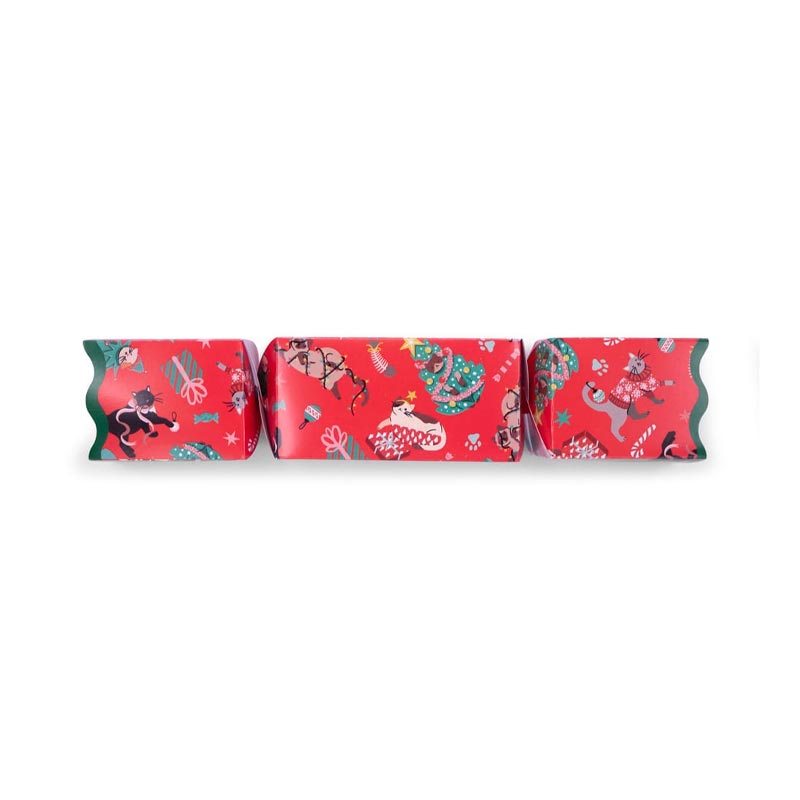Cat Design Christmas Cracker by Heart & Soul Studio