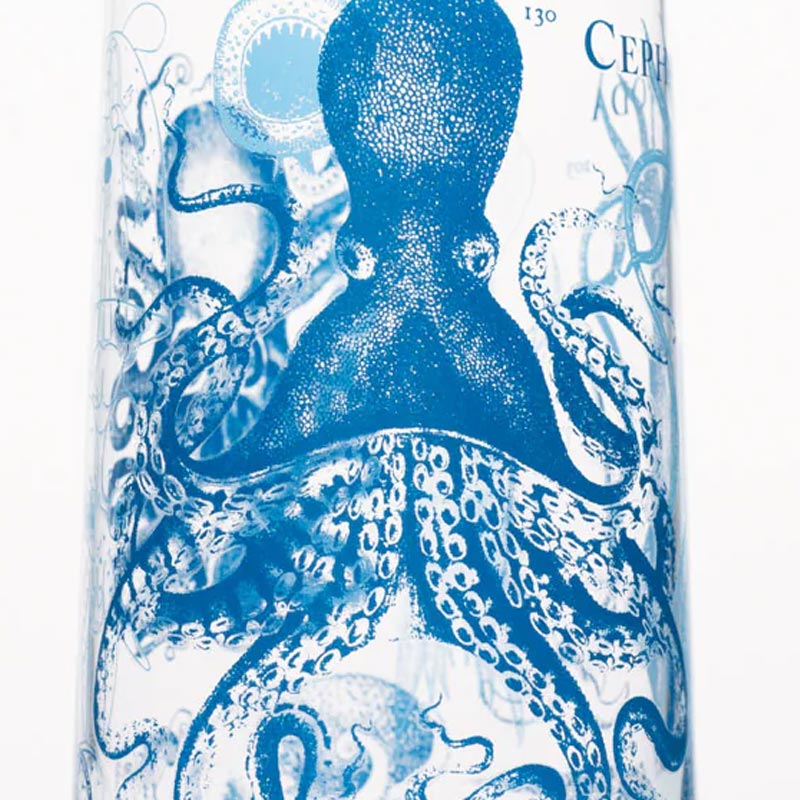 Monsters of the Deep: Cephalopods - Tumbler Drinking Glass by Cognitive Surpluss