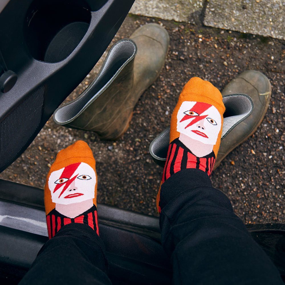 David Toewie Artist Socks