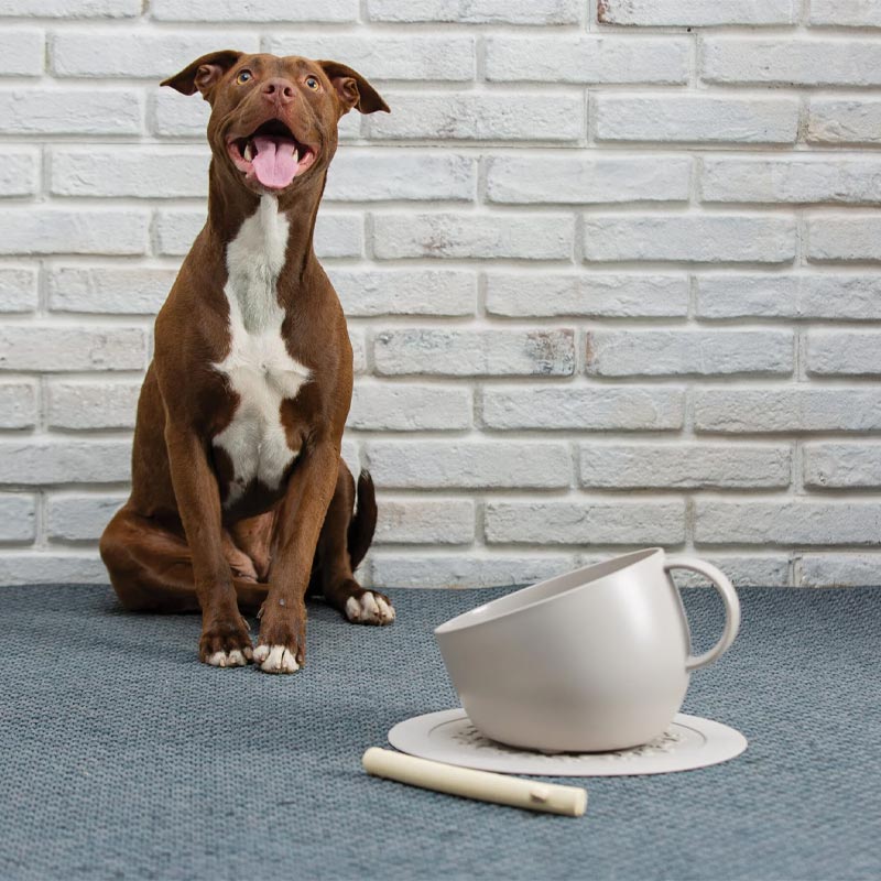 "CUP" Dog Bowl and "PLATE" Underlay Mat - Turtledove - by United Pets