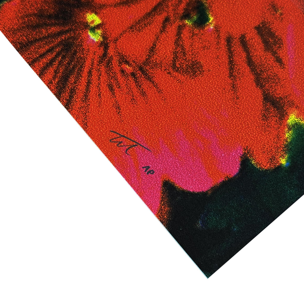 Fleet Foxes poster by Tommy Davidson-Hawley - hand pulled 4 colour screenprint, signed artist's proof