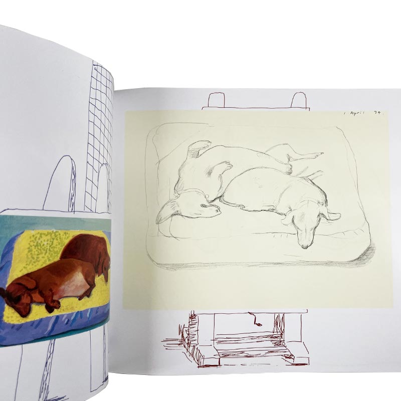 David Hockney's Dog Days