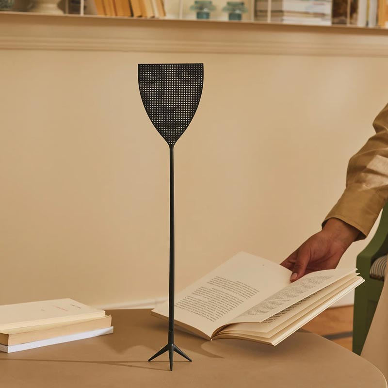 Dr Skud Fly Swatter, des. Philippe Starck for Alessi