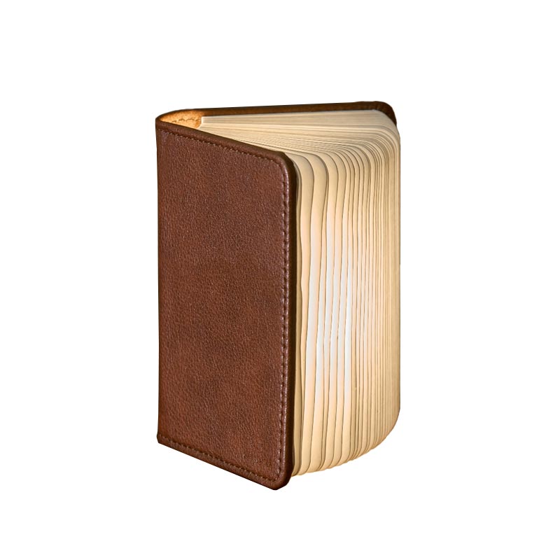 Smart Book Light Mini - Sun Recycled Brown Leather - des. Paul and Natalie Sun
