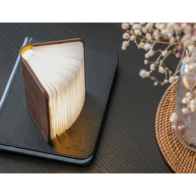 Smart Book Light Mini - Sun Recycled Brown Leather - des. Paul and Natalie Sun