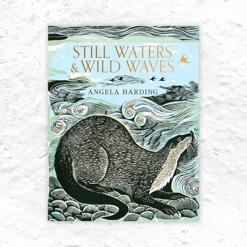 Still Waters & Wild Waves by Angela Harding (Signed Hardback)