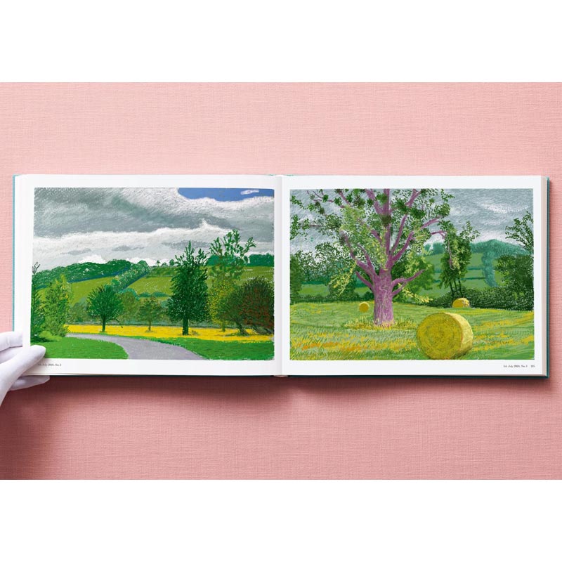 David Hockney - 220 for 2020 - unlimited edition