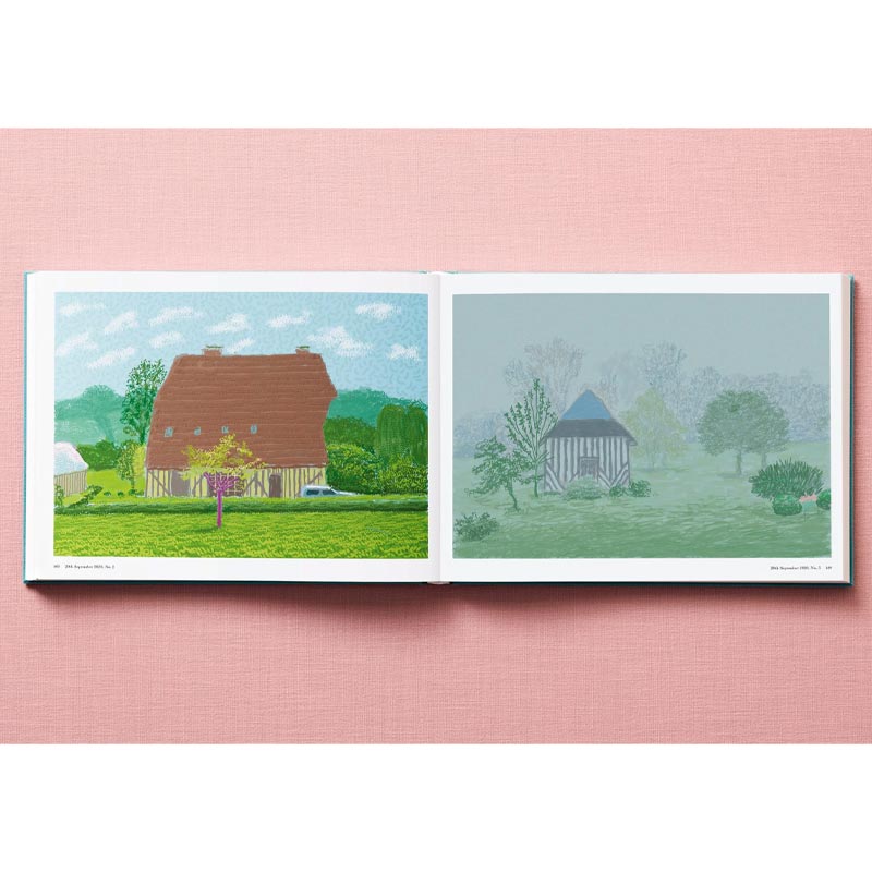 David Hockney - 220 for 2020 - unlimited edition