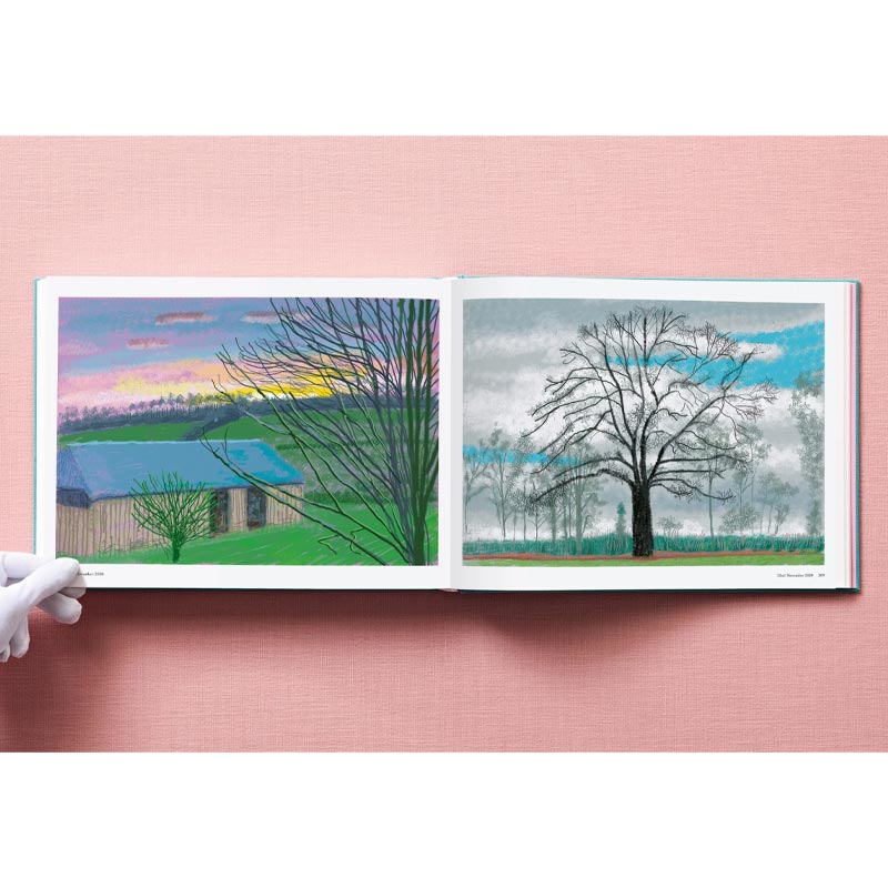 David Hockney - 220 for 2020 - unlimited edition