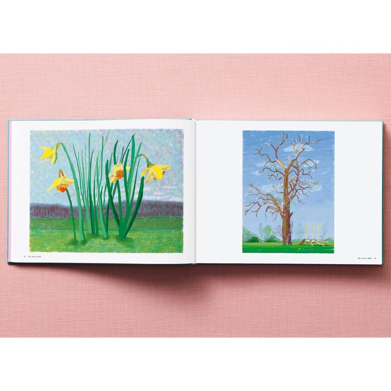 David Hockney - 220 for 2020 - unlimited edition