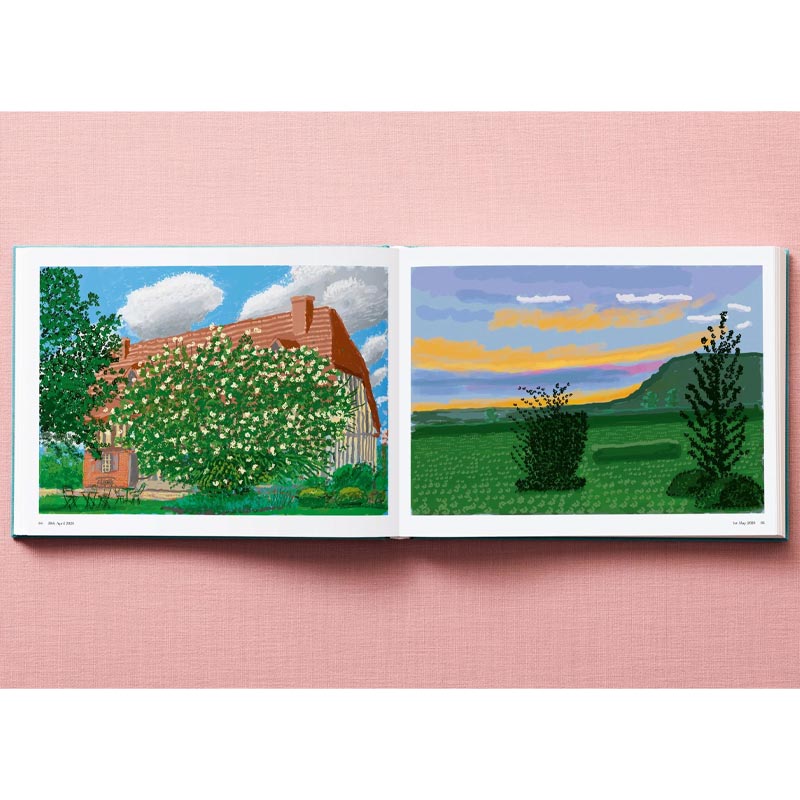 David Hockney - 220 for 2020 - unlimited edition