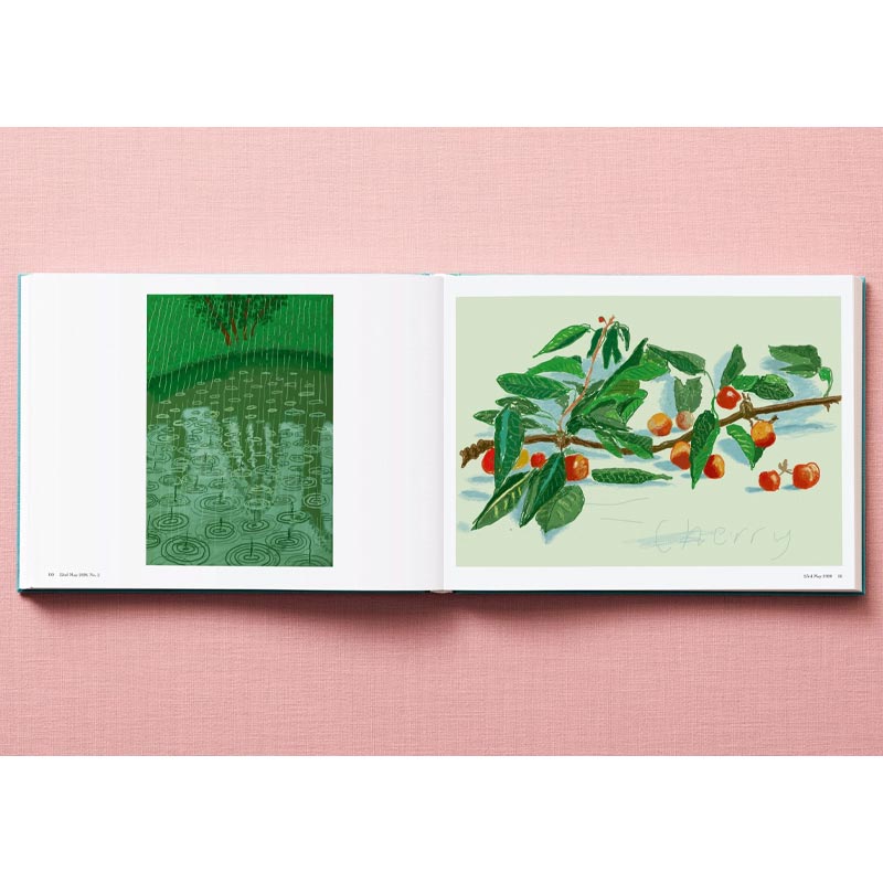 David Hockney - 220 for 2020 - unlimited edition