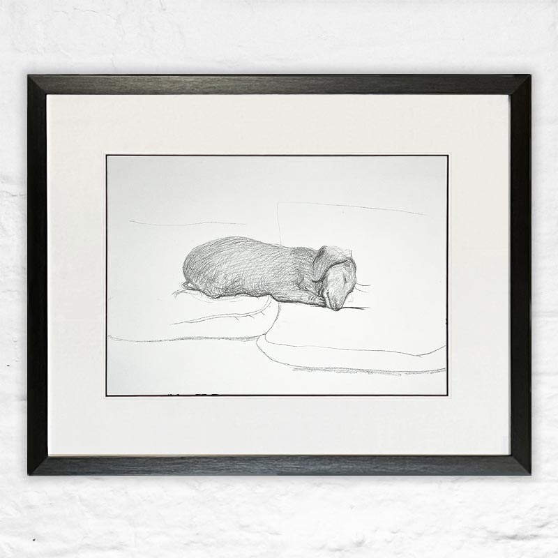 Stanley, 1993 - framed (August image from 1995 calendar)