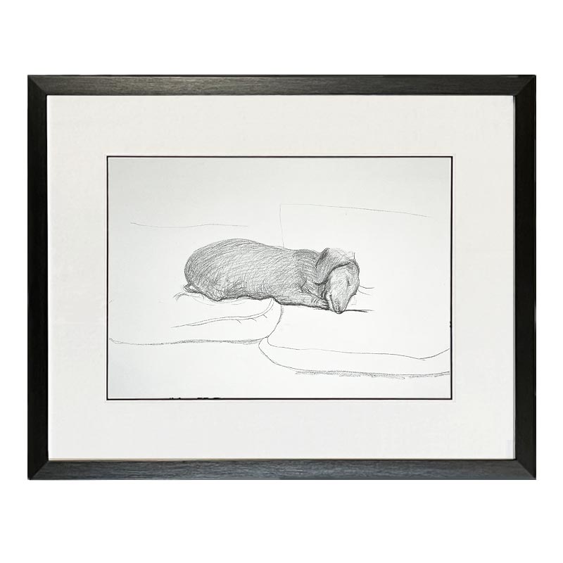 Stanley, 1993 - framed (August image from 1995 calendar)