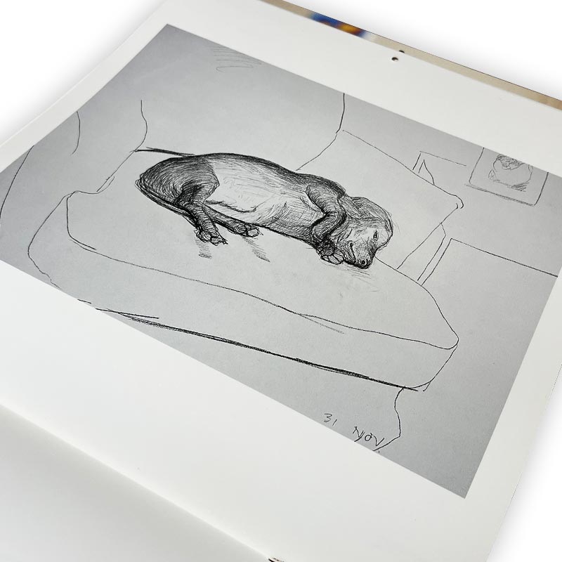 David Hockney 1995 Black and White Dog Calendar