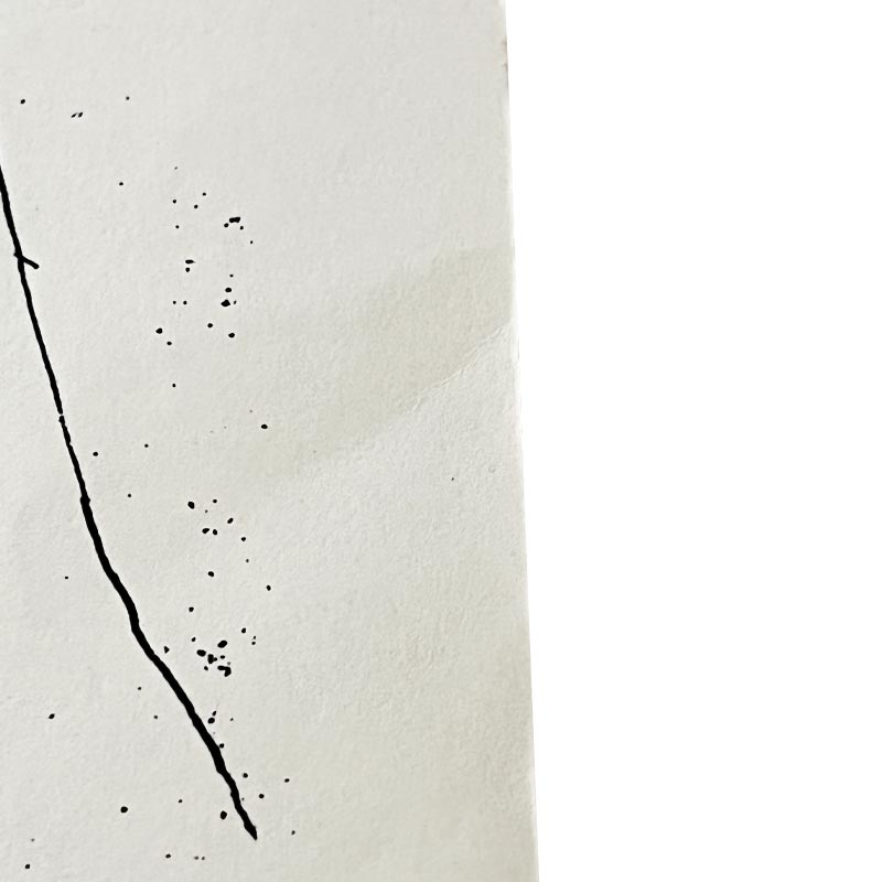 Two Boys Aged 23 or 24 (1966) Poster by David Hockney - Galerie Mikro, 1968