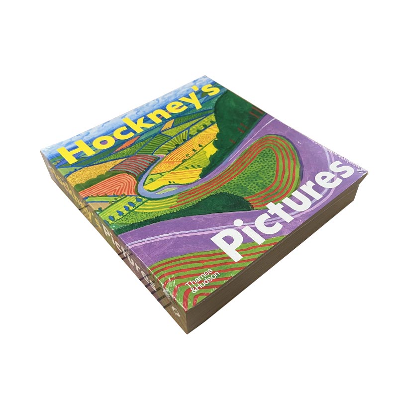 Hockney's Pictures by David Hockney (Paperback)