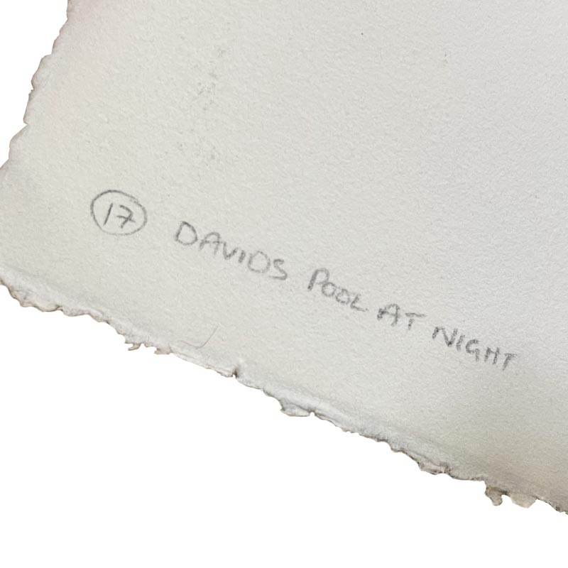 David's Pool at Night by Howard Hodgkin - softground etching and aquatint, signed Artist's Proof