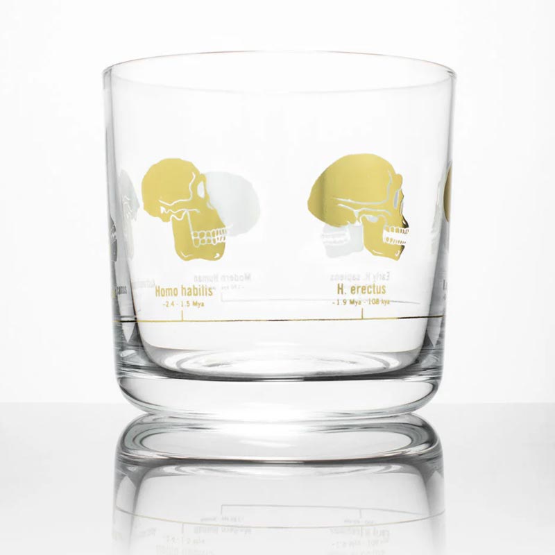 Hominid Skulls Whiskey Glass by Cognitive Surplus