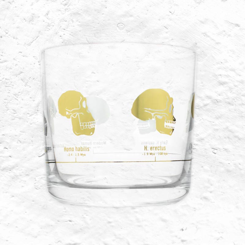 Hominid Skulls Whiskey Glass by Cognitive Surplus