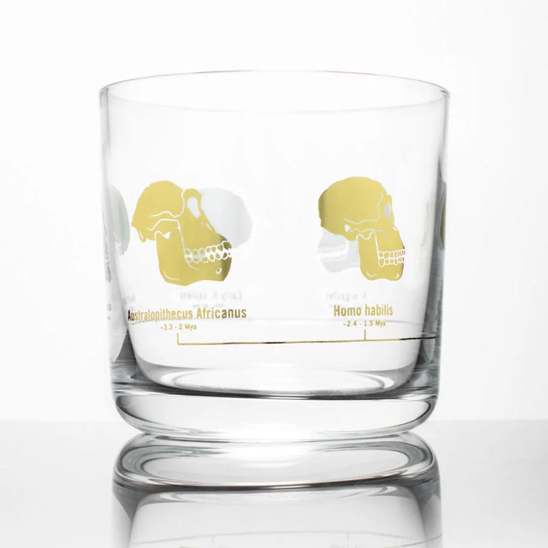 Hominid Skulls Whiskey Glass by Cognitive Surplus
