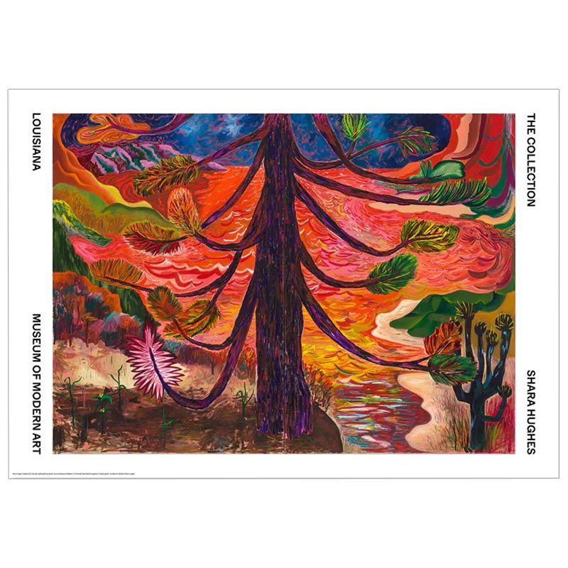 Collide poster by Shara Hughes