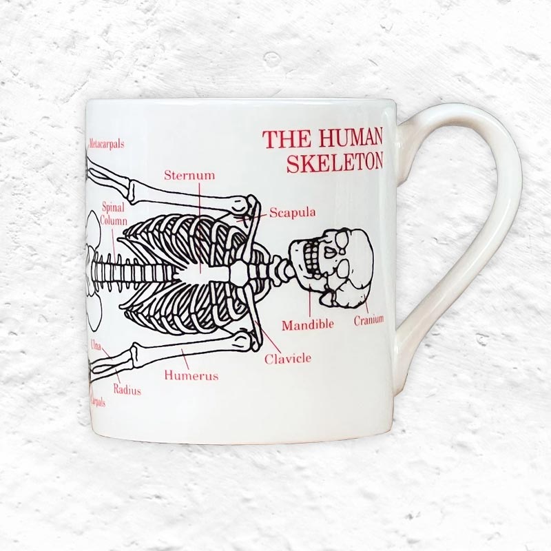 Human Skeleton mug