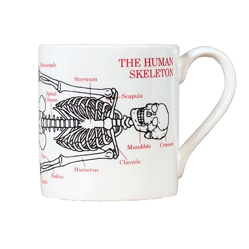 Human Skeleton mug