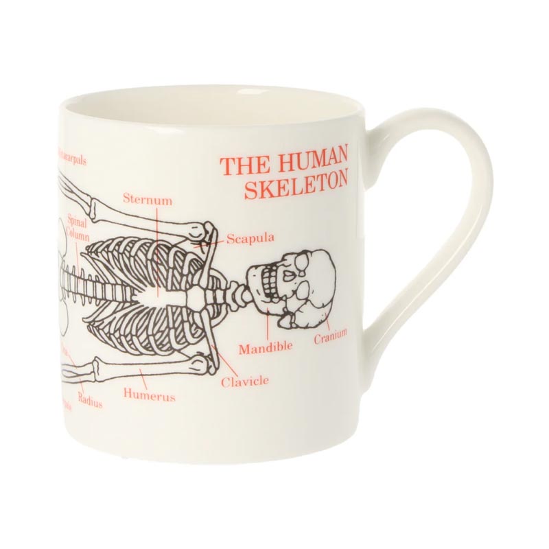 Human Skeleton mug