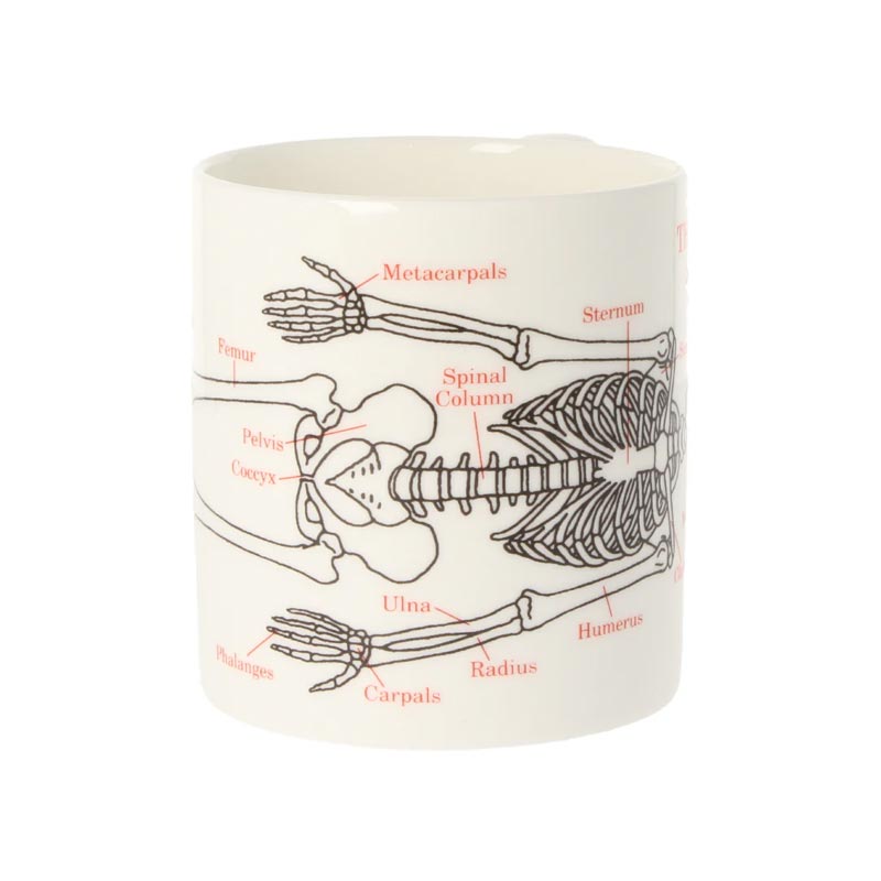 Human Skeleton mug