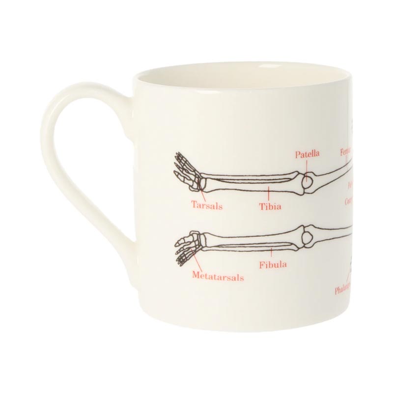 Human Skeleton mug
