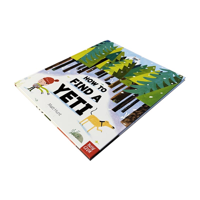 How to Find a Yeti (HARDBACK) by Matt Hunt